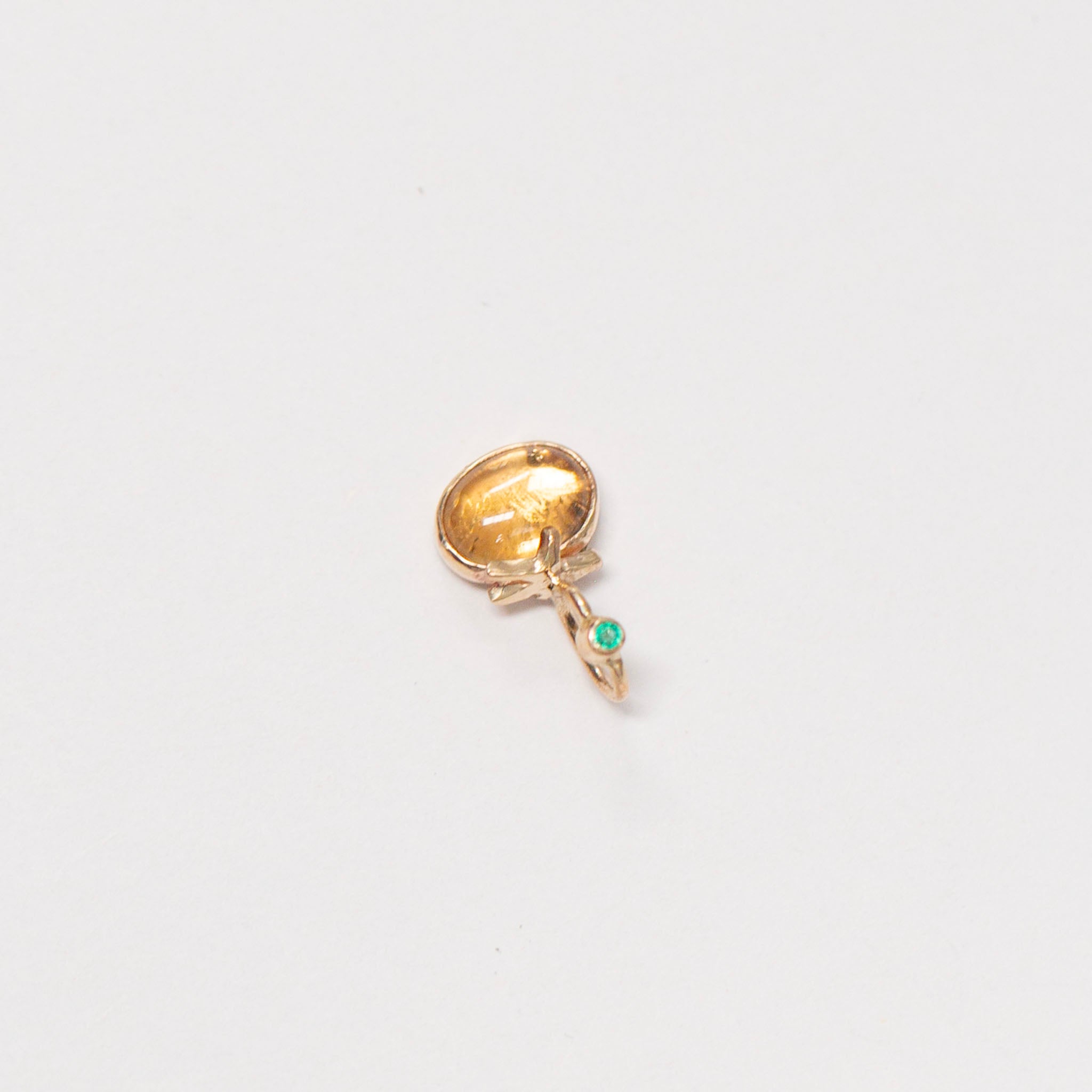 Tomato 10, Fancy Heirloom Citrine