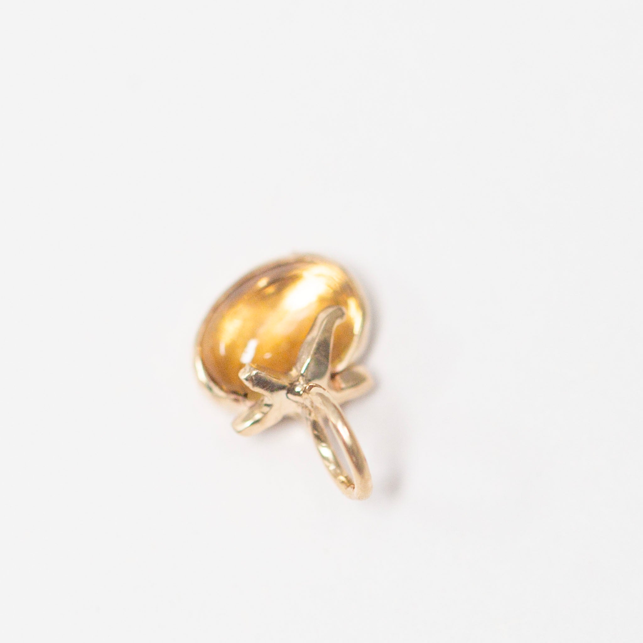 Tomato 1, Heirloom Citrine