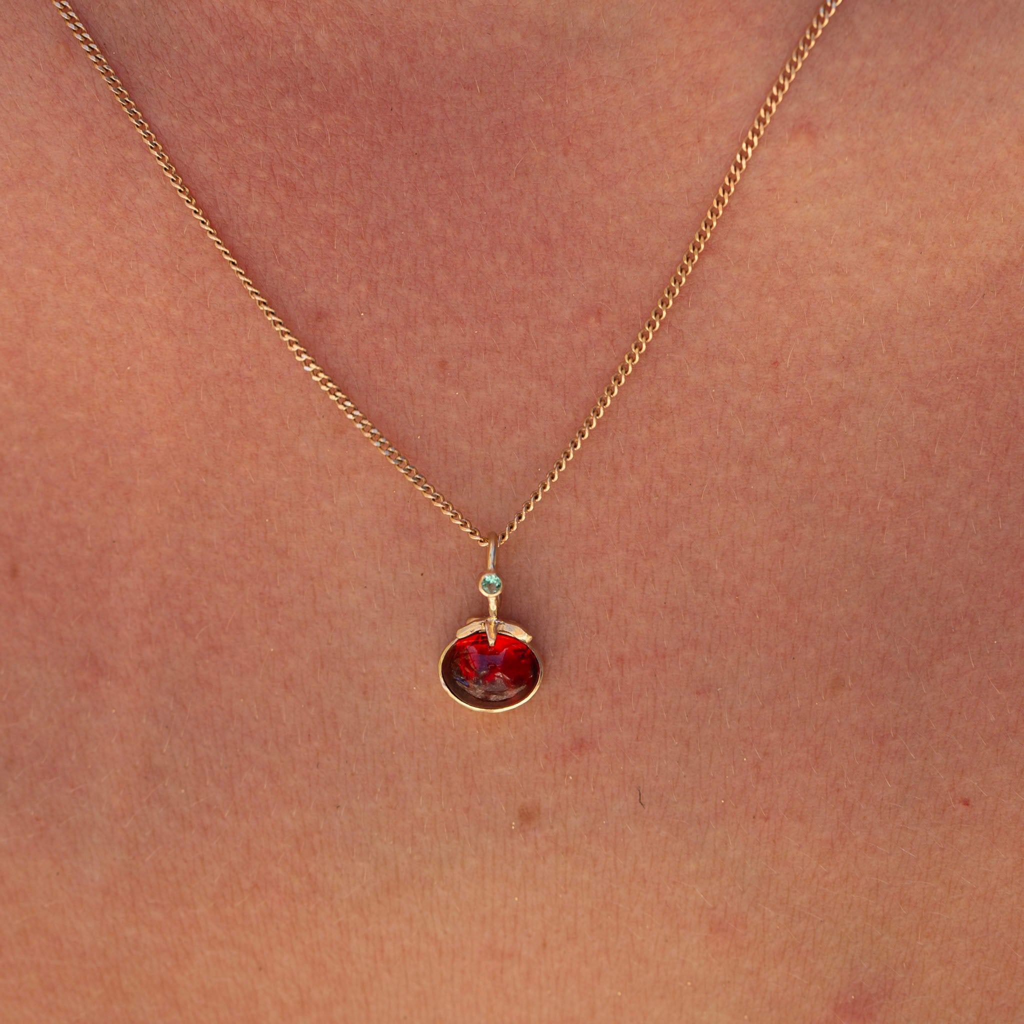 Tomato 20, Fancy Heirloom Garnet