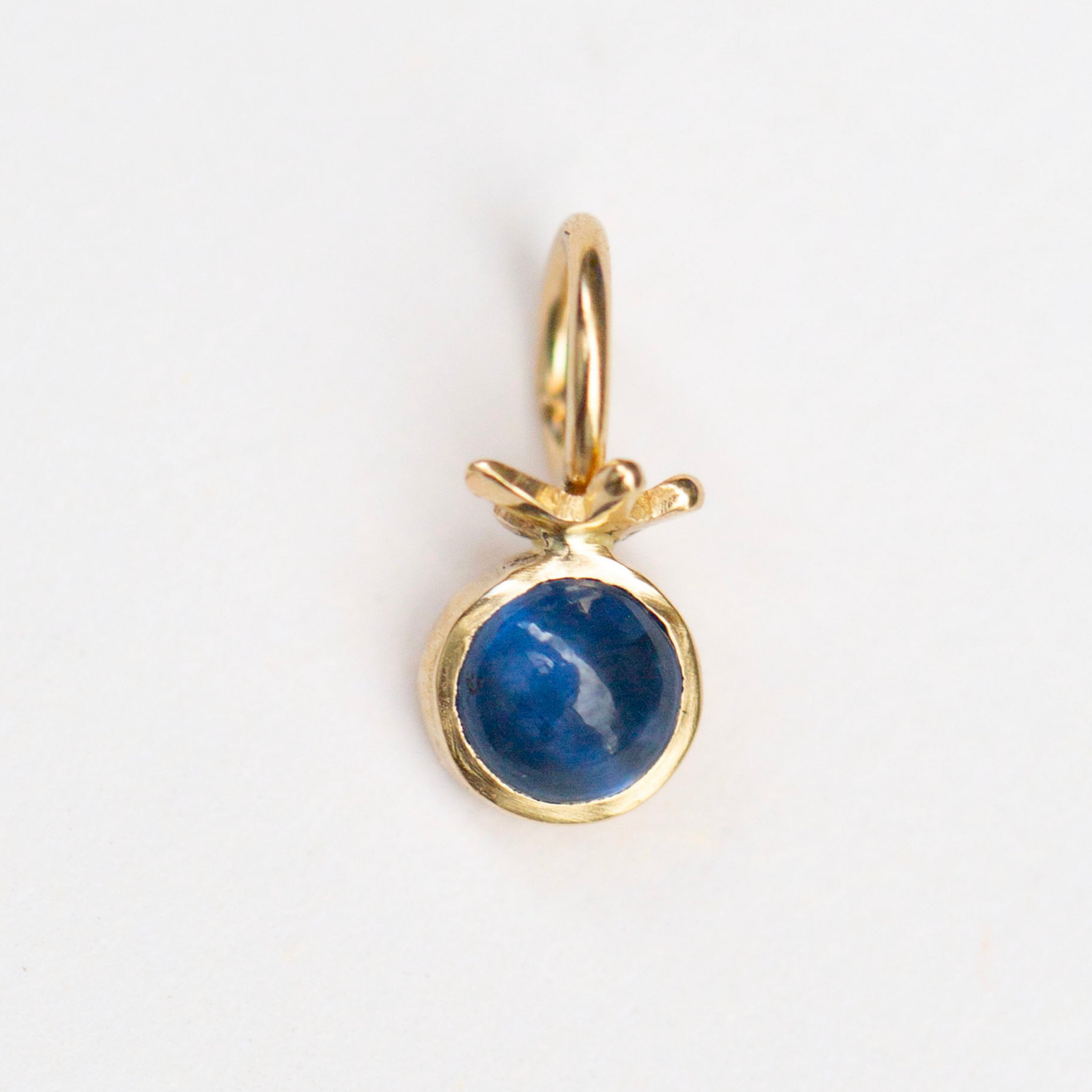 Tiny Blueberry Charm 6