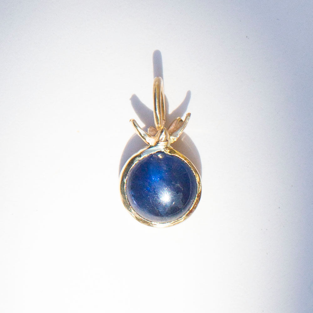 Blueberry Charm 2