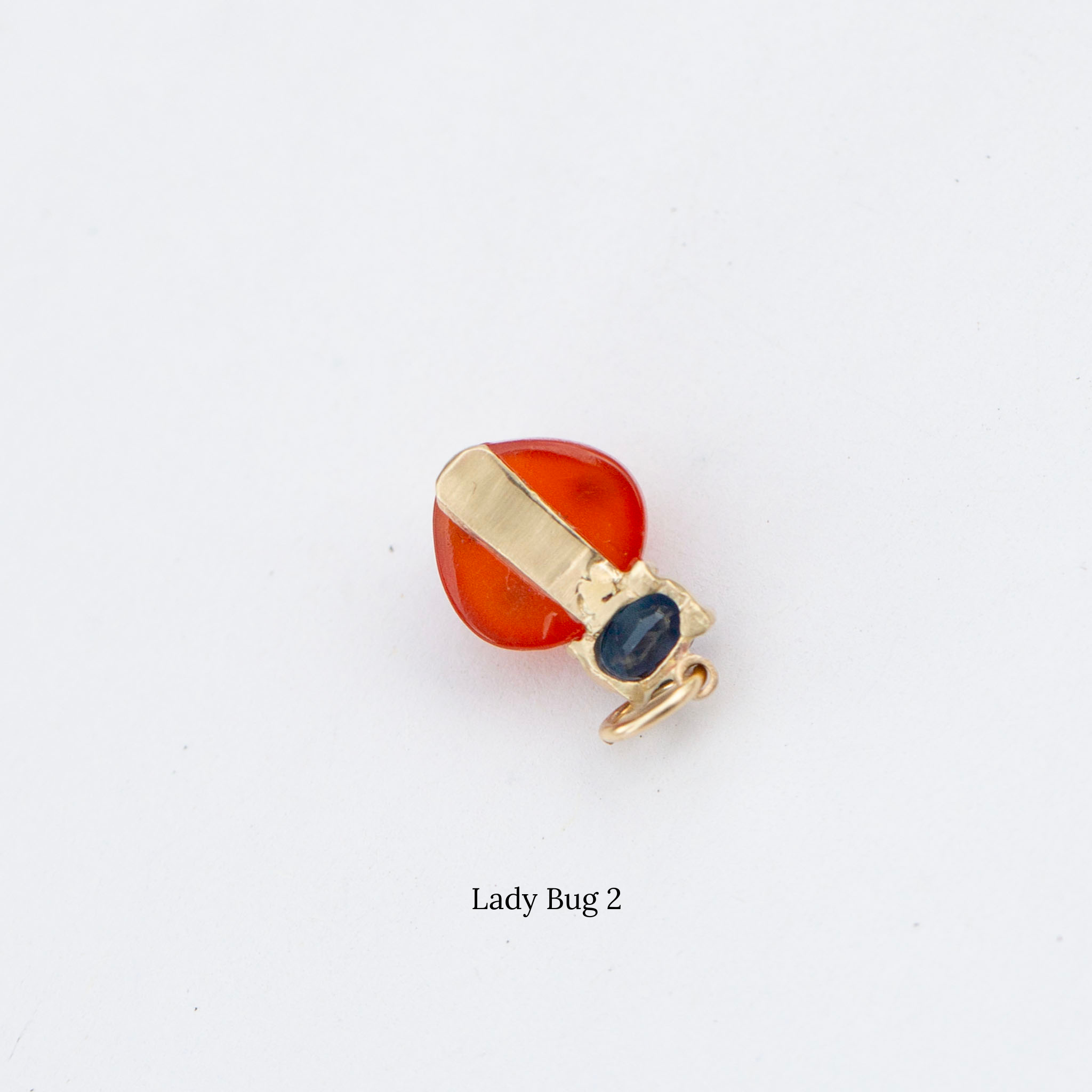 Lady Bugs