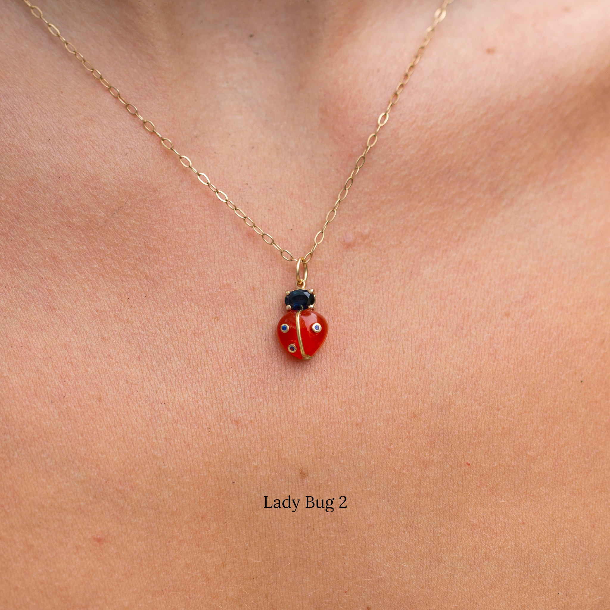 Lady Bugs