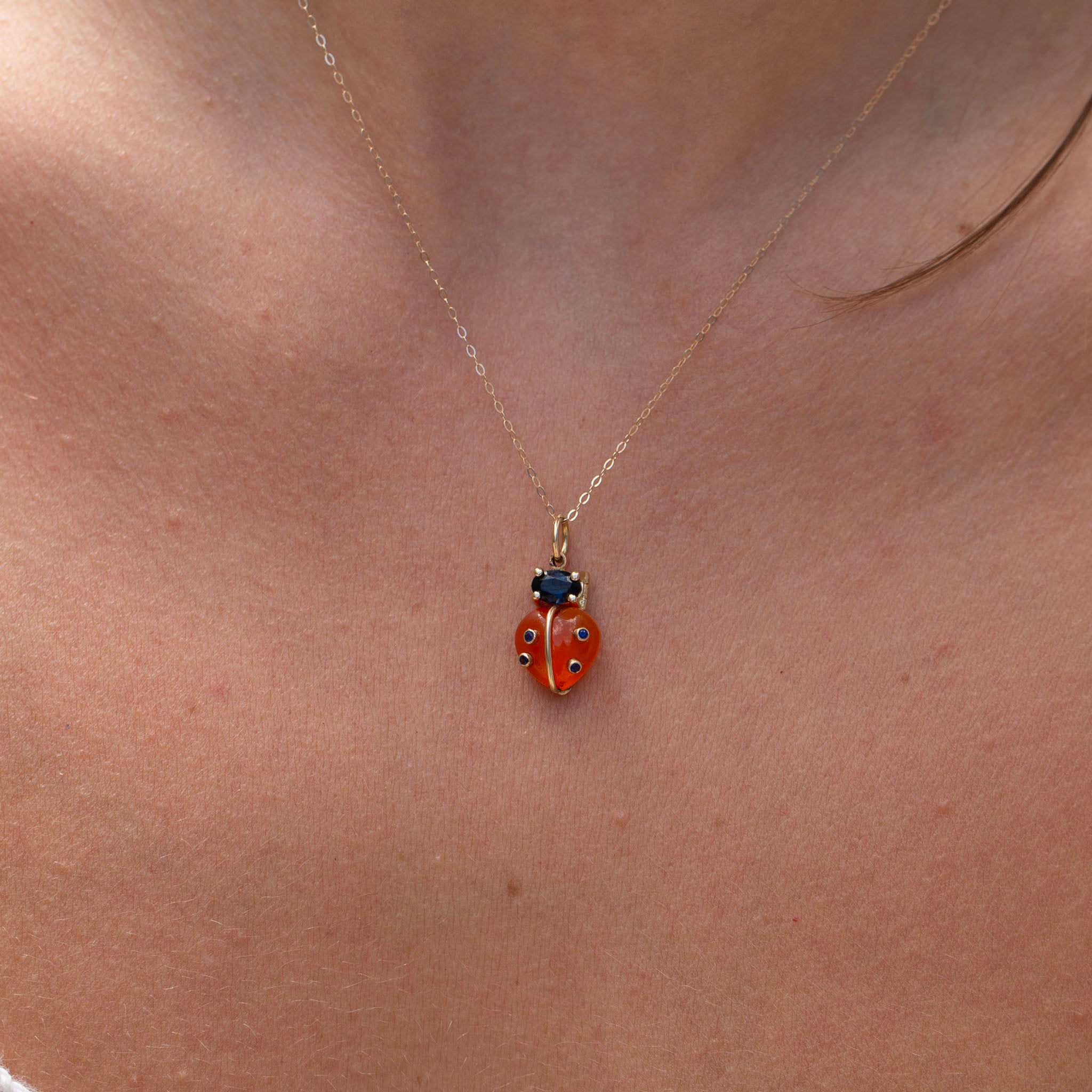 Ladybugs