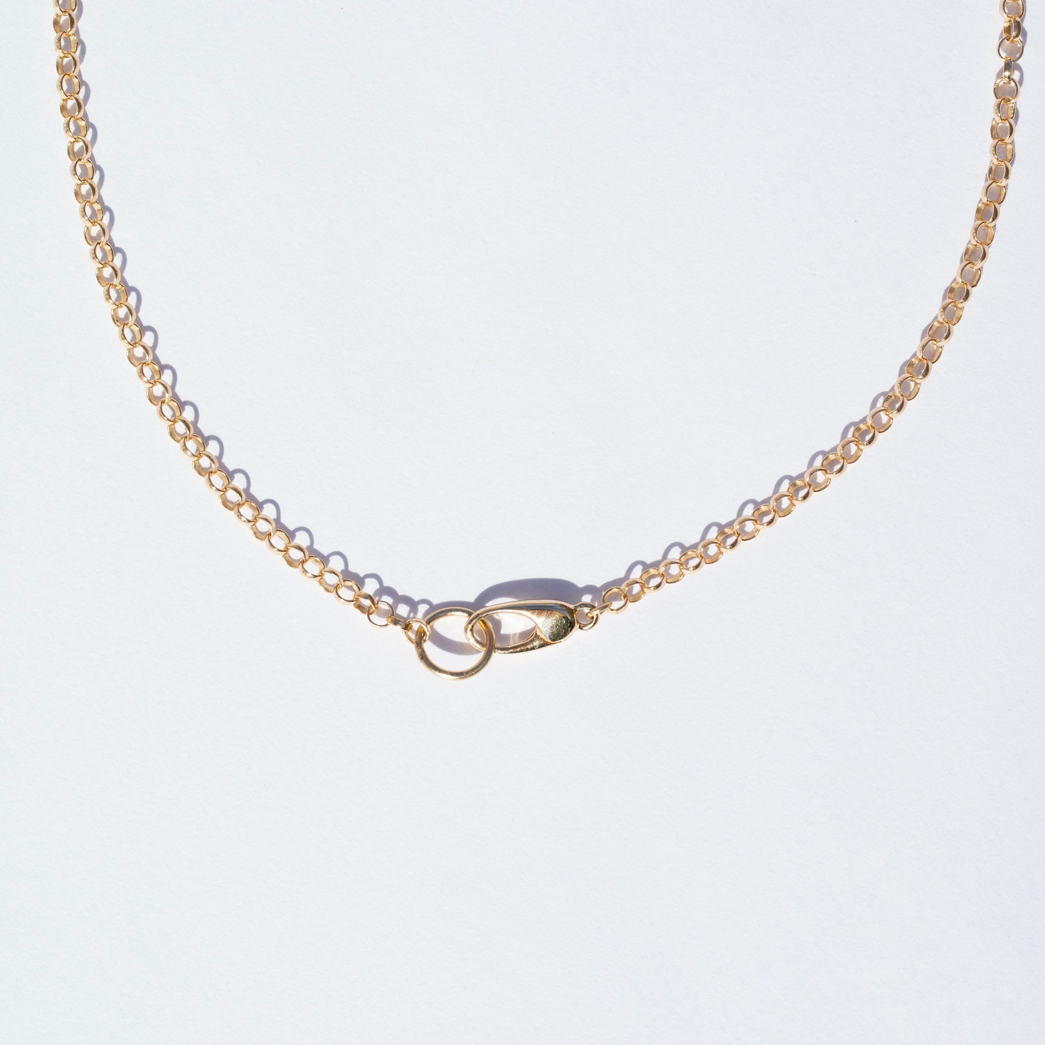 Rolo Charm Clip Chain