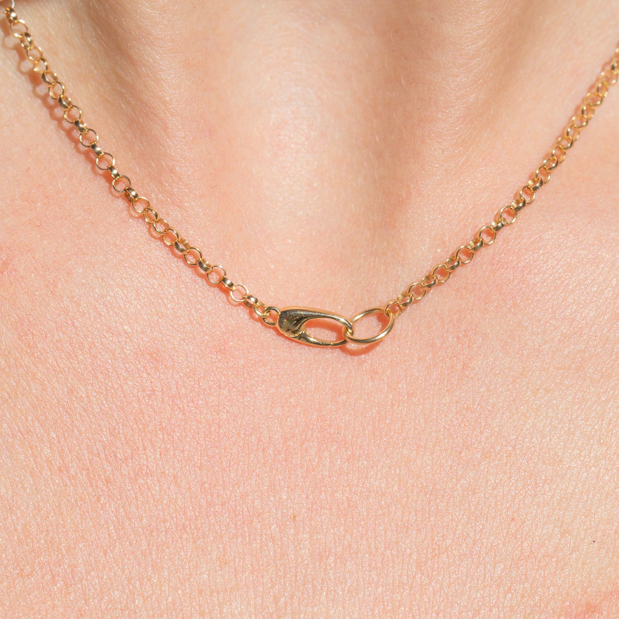 Rolo Charm Clip Chain