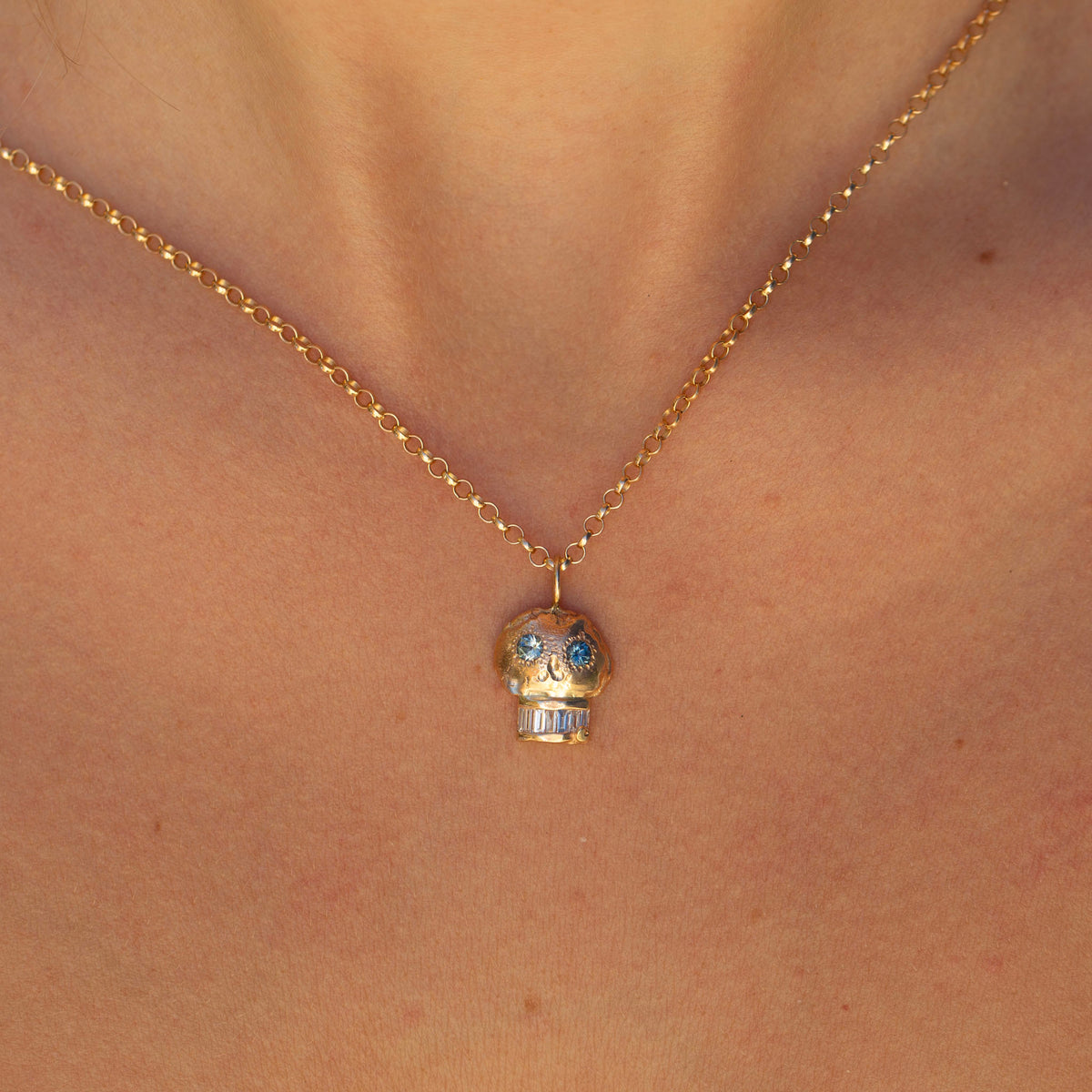 Skull 6, Montana Sapphire