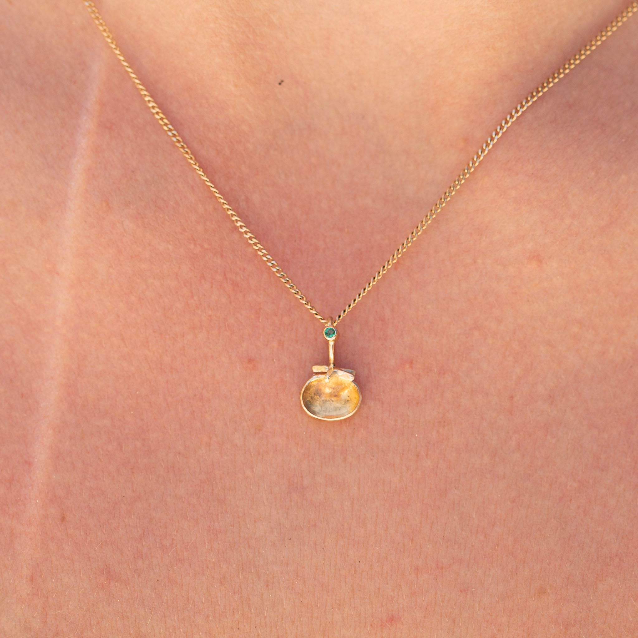 Tomato 10, Fancy Heirloom Citrine