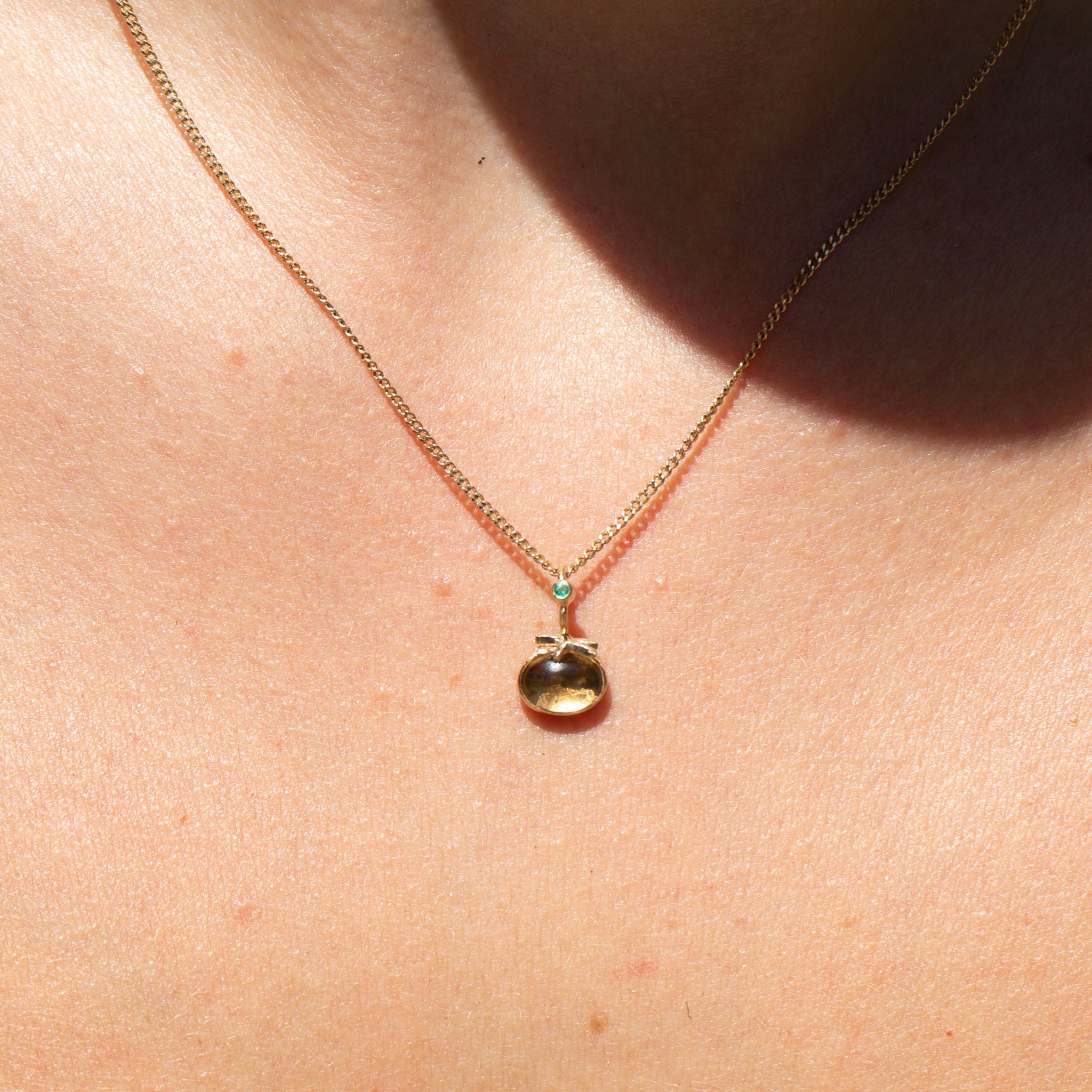 Tomato 10, Fancy Heirloom Citrine