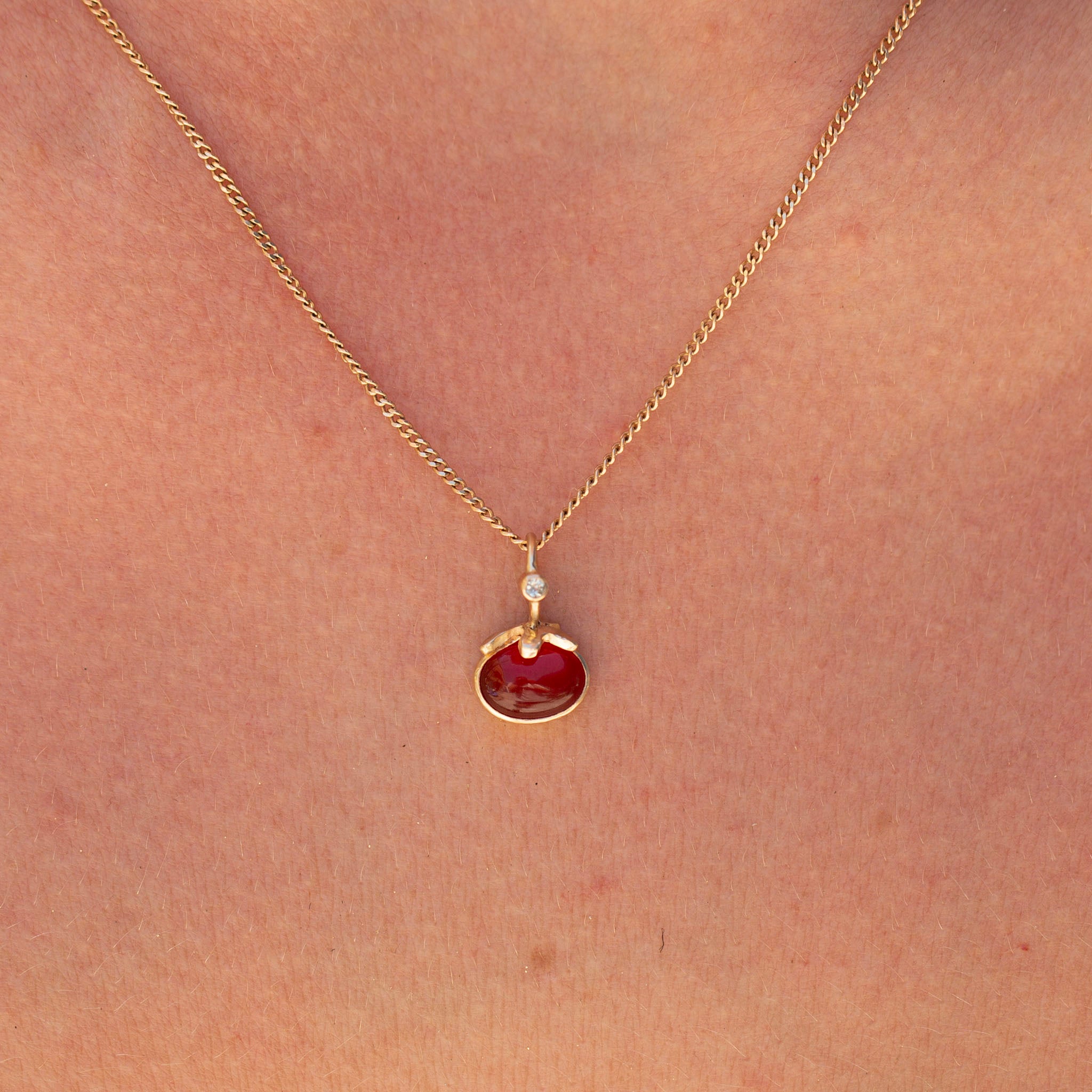 Tomato 18, Fancy Heirloom Carnelian