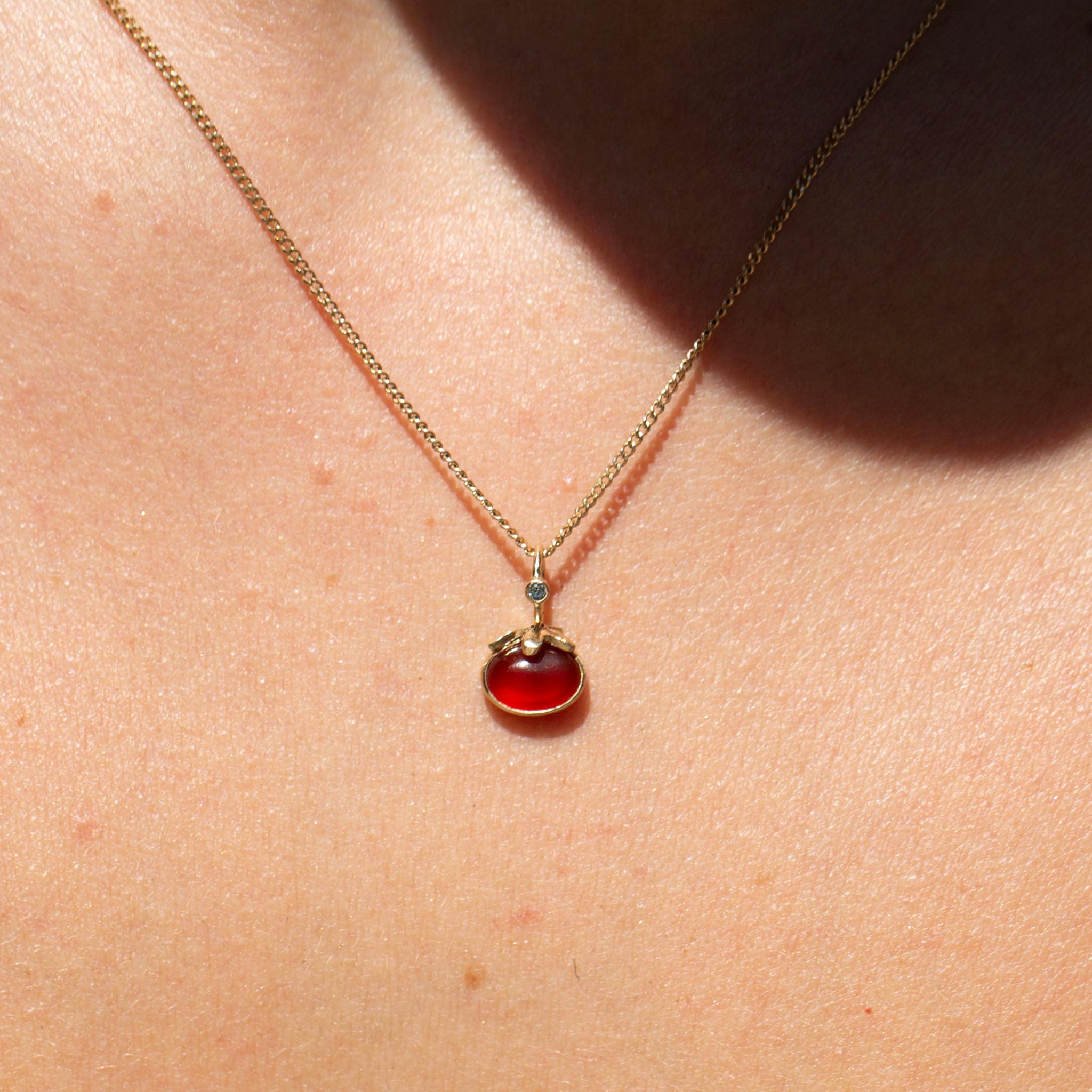 Tomato 18, Fancy Heirloom Carnelian