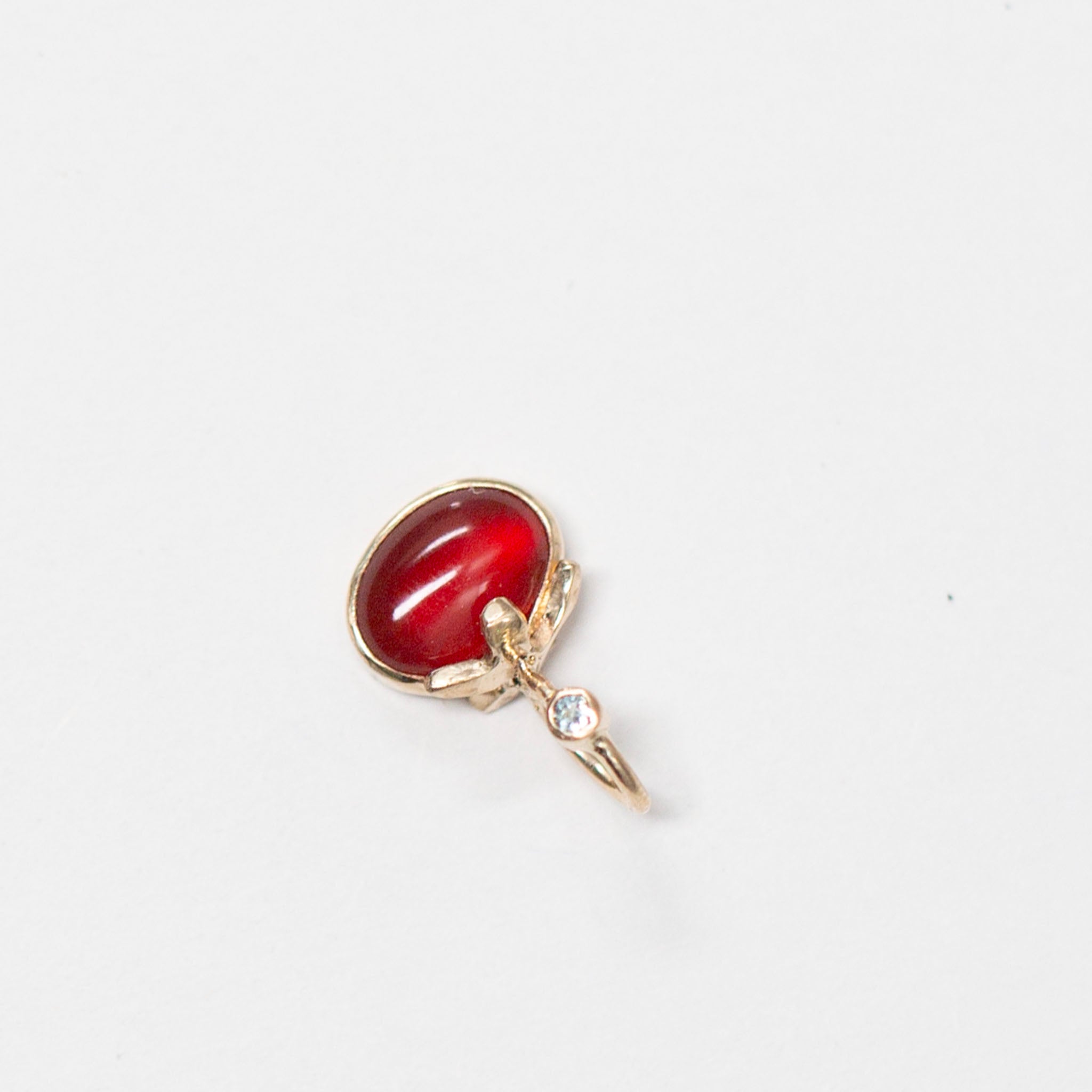 Tomato 18, Fancy Heirloom Carnelian