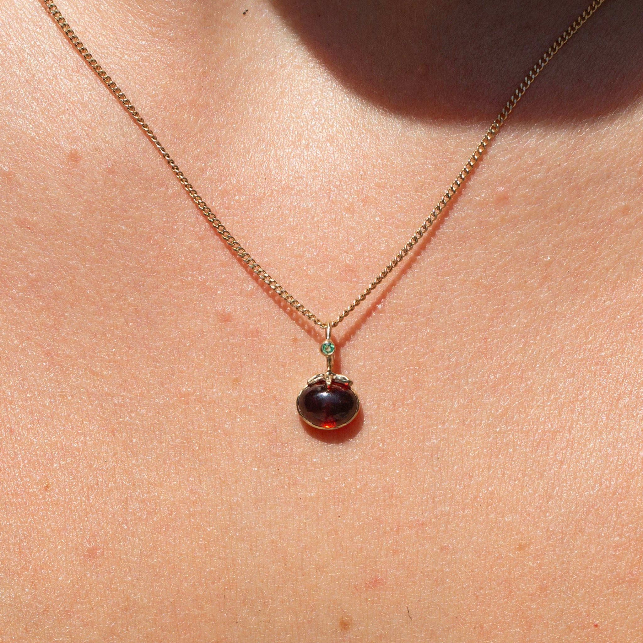 Tomato 20, Fancy Heirloom Garnet