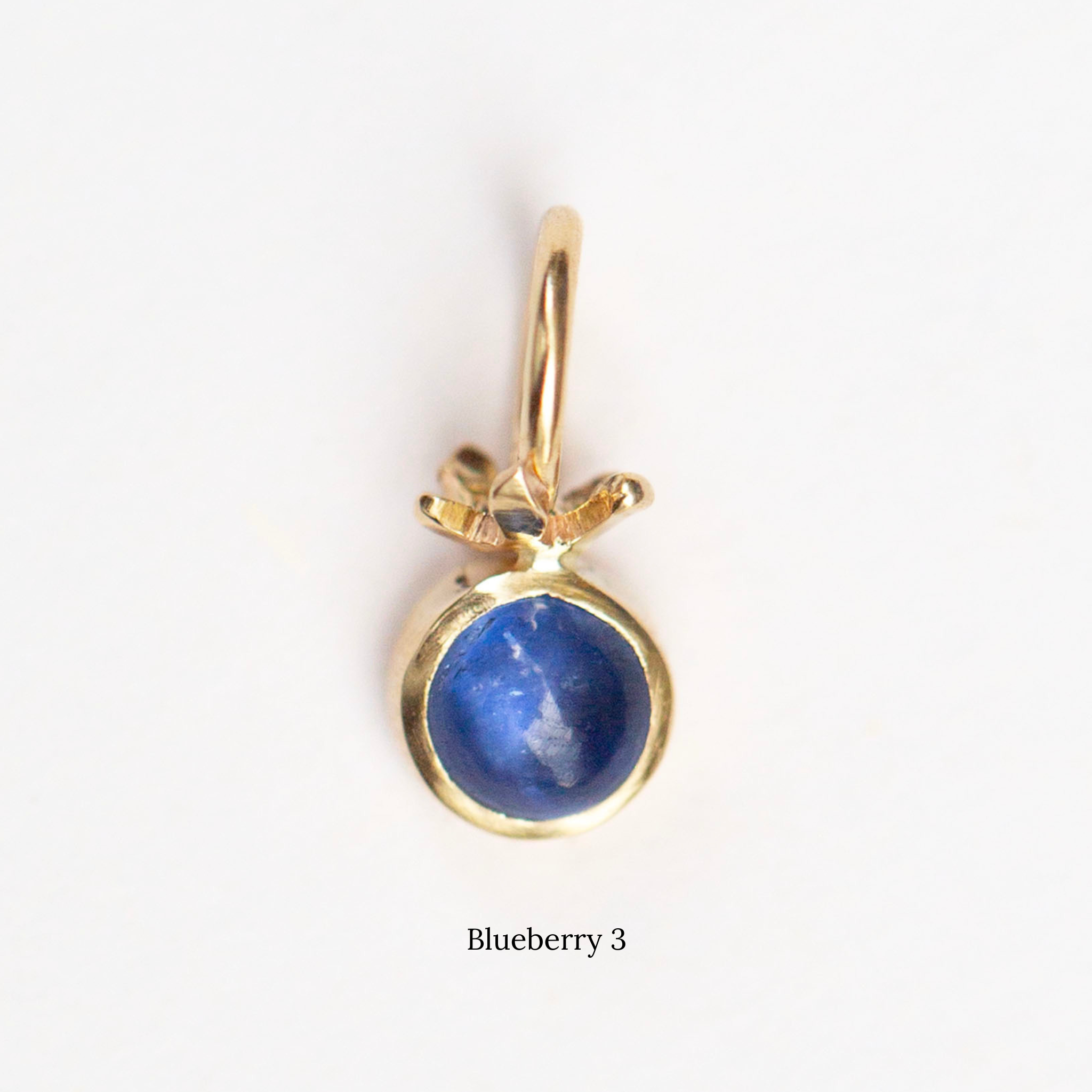 Tiny Blueberry Charms