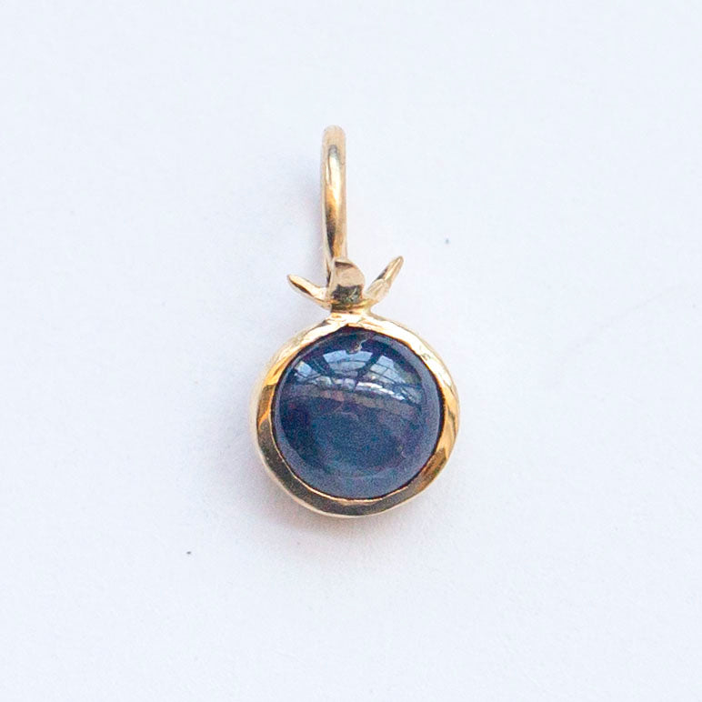 Blueberry Charm 1