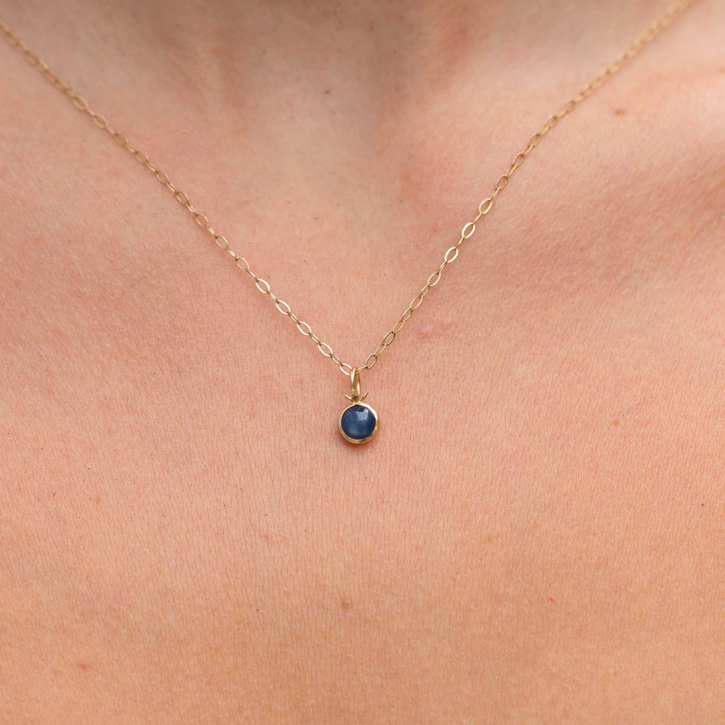 Blueberry Charm 1
