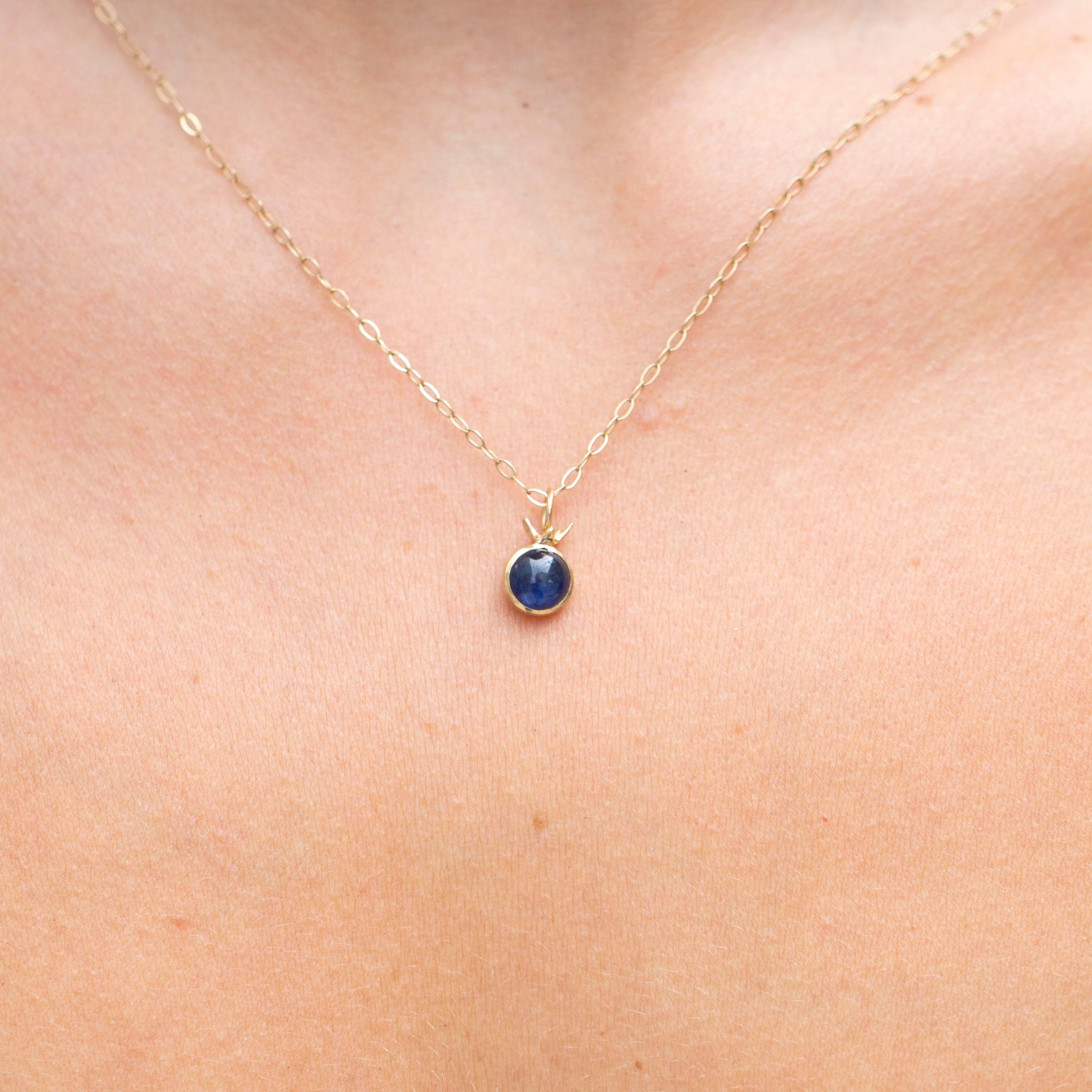 Blueberry Charm 2