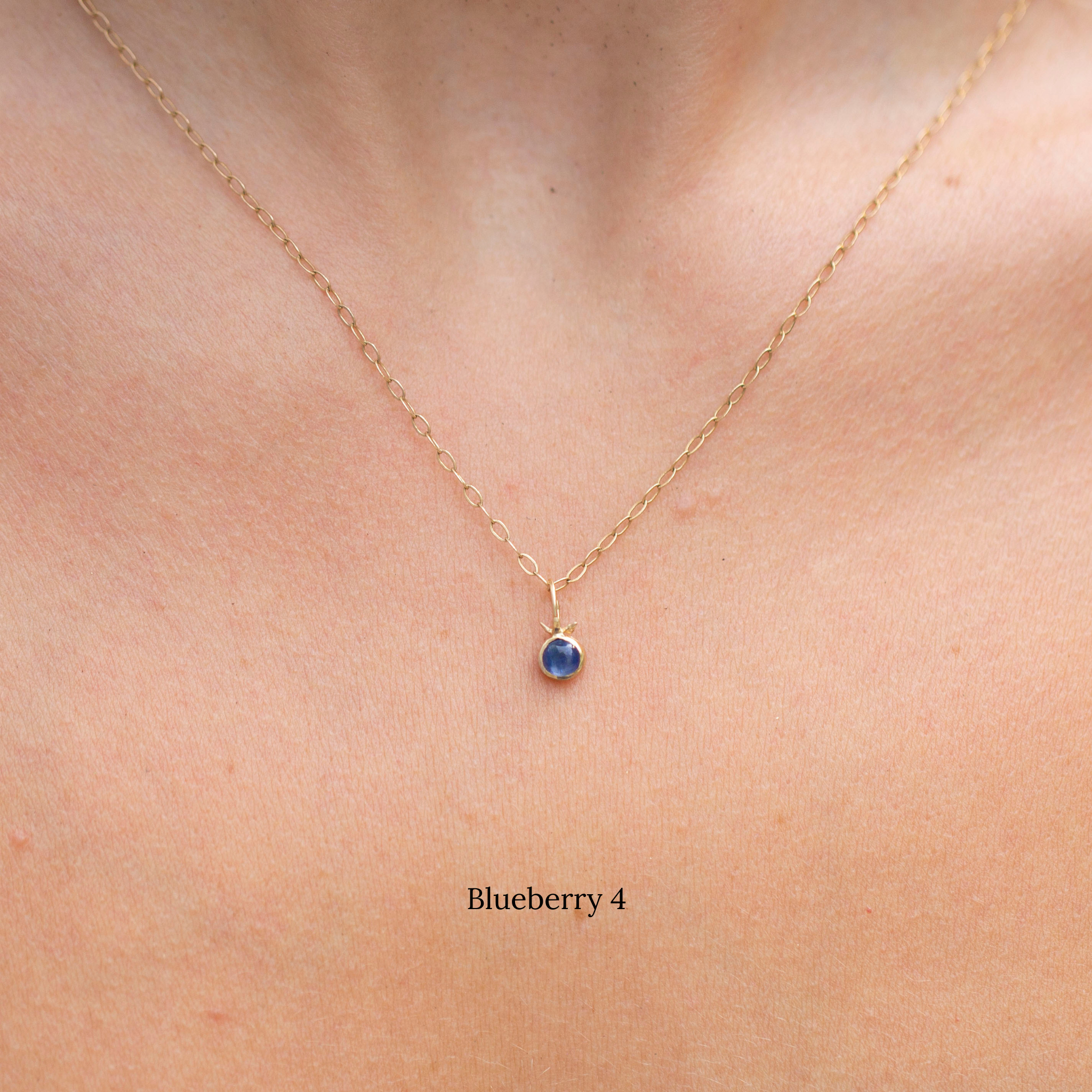 Tiny Blueberry Charms