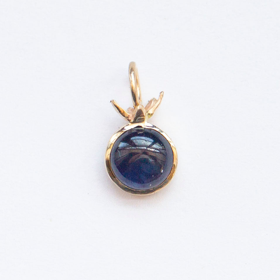 Blueberry Charm 2