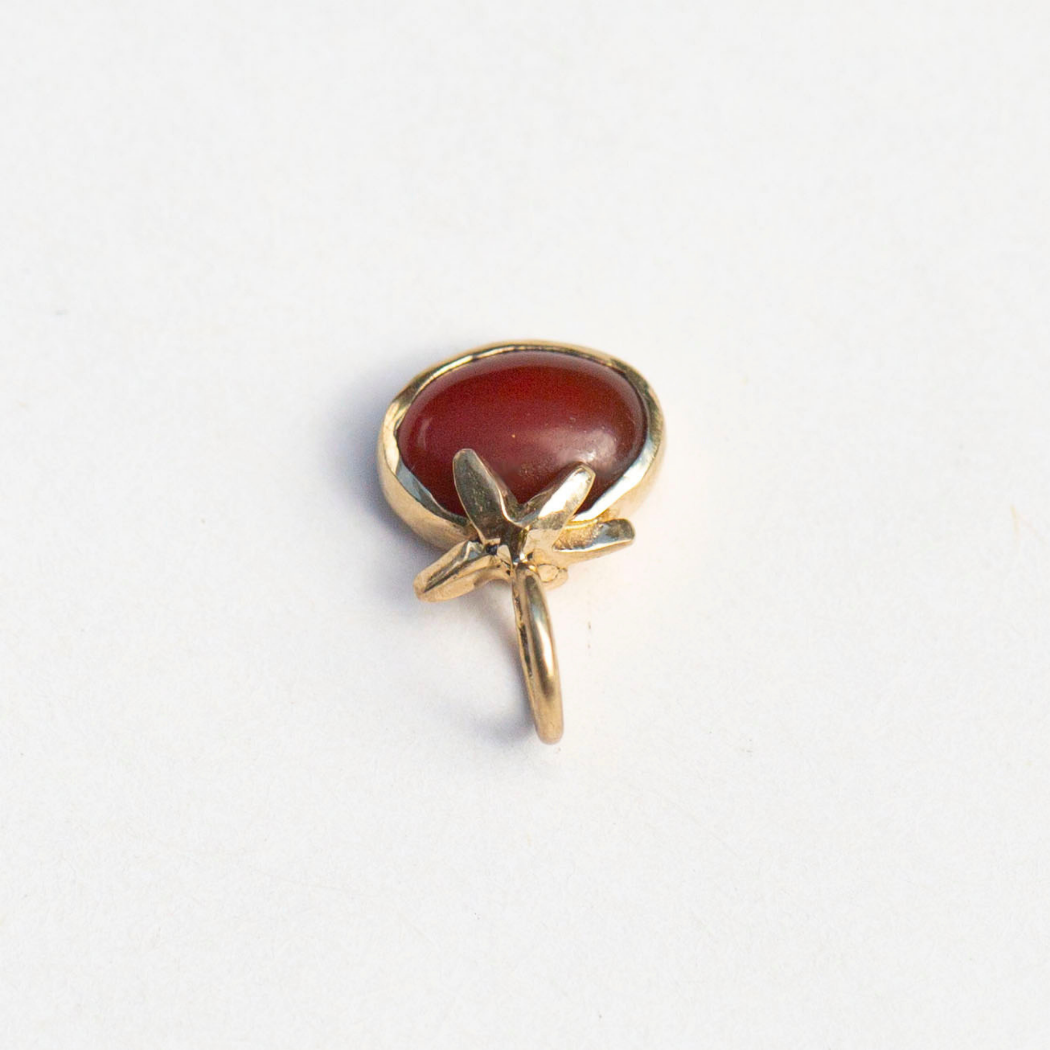 Heirloom Carnelian Tomato 4