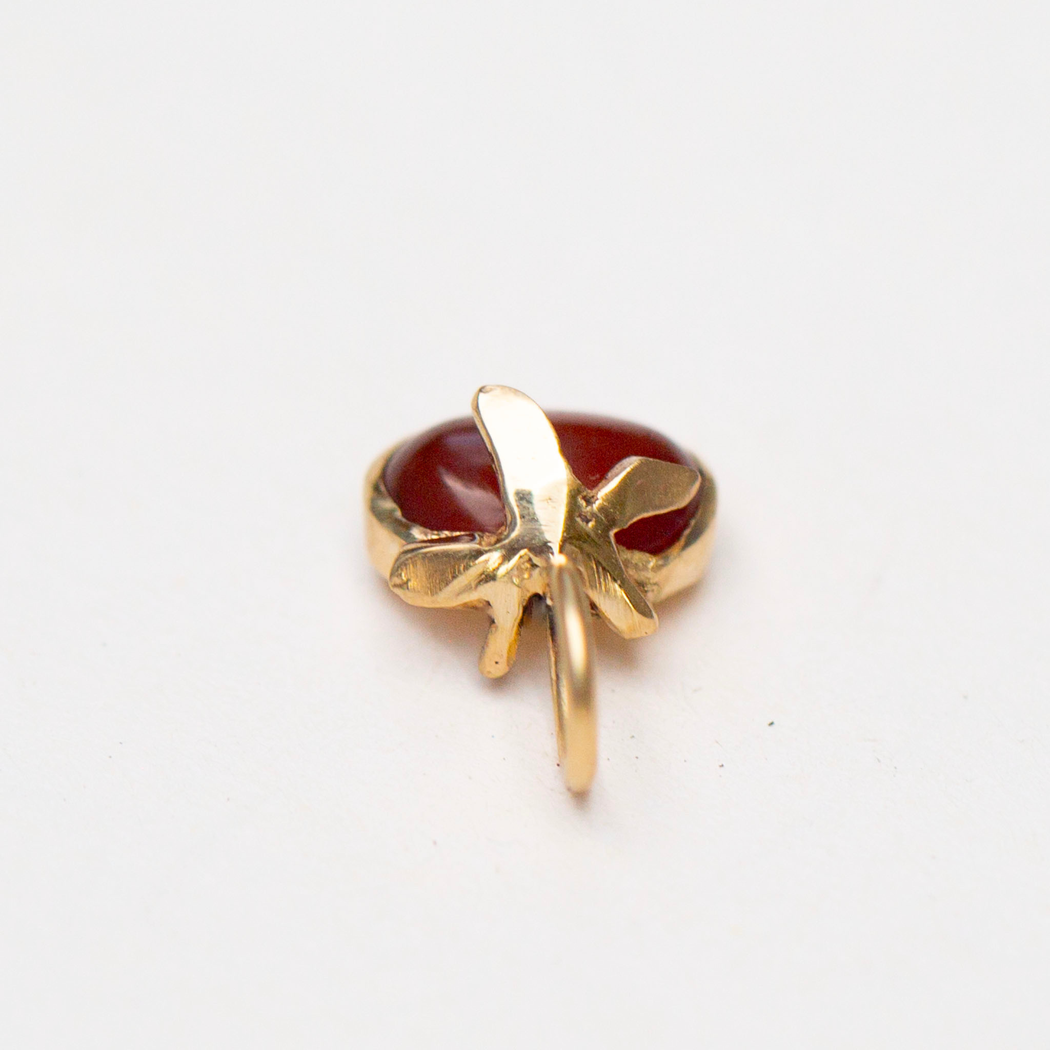 Heirloom Carnelian Tomato 6