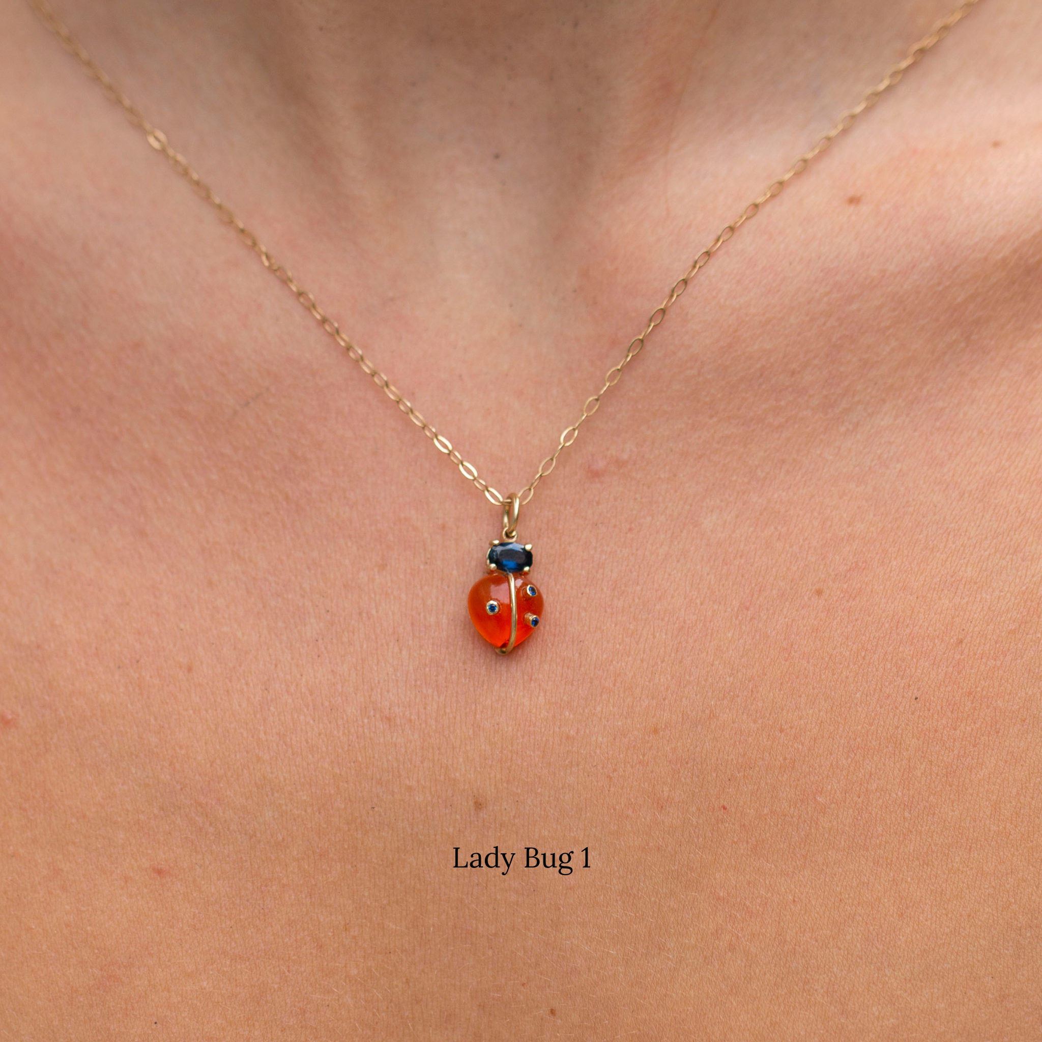 Lady Bugs