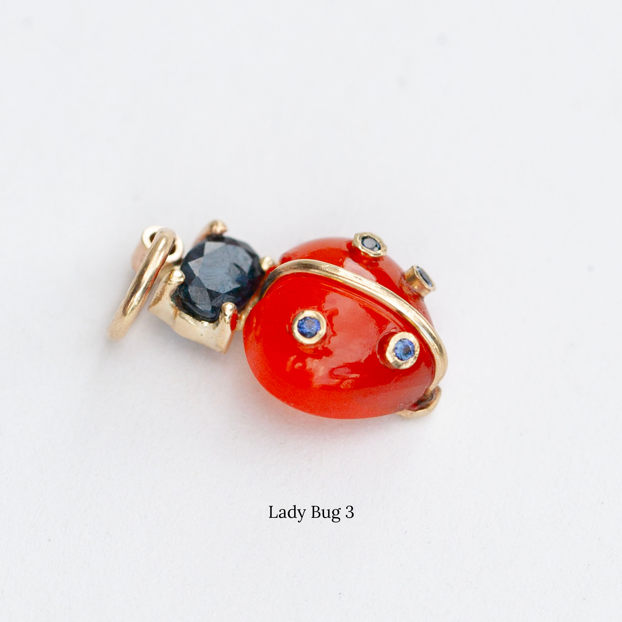 Lady Bugs