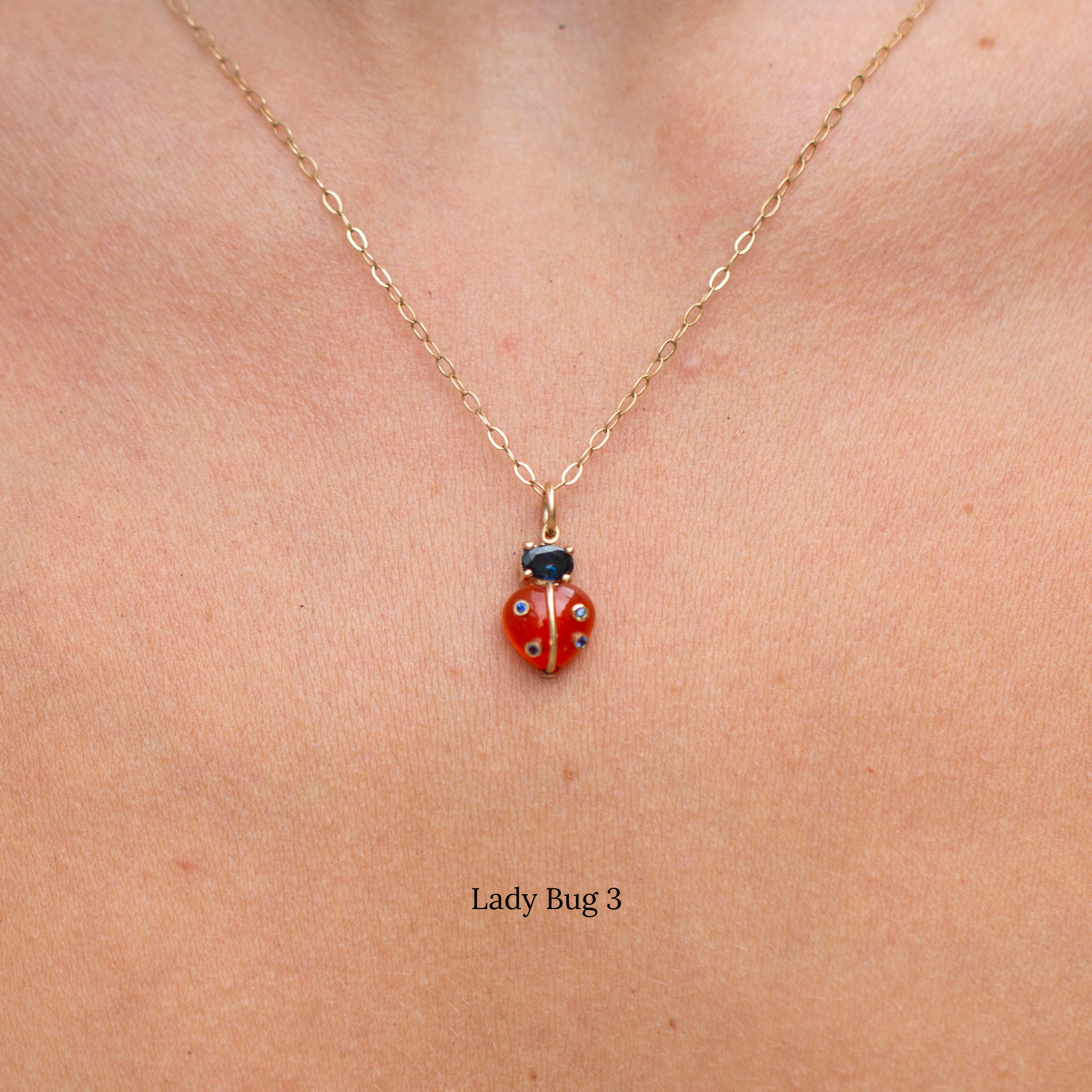 Lady Bugs