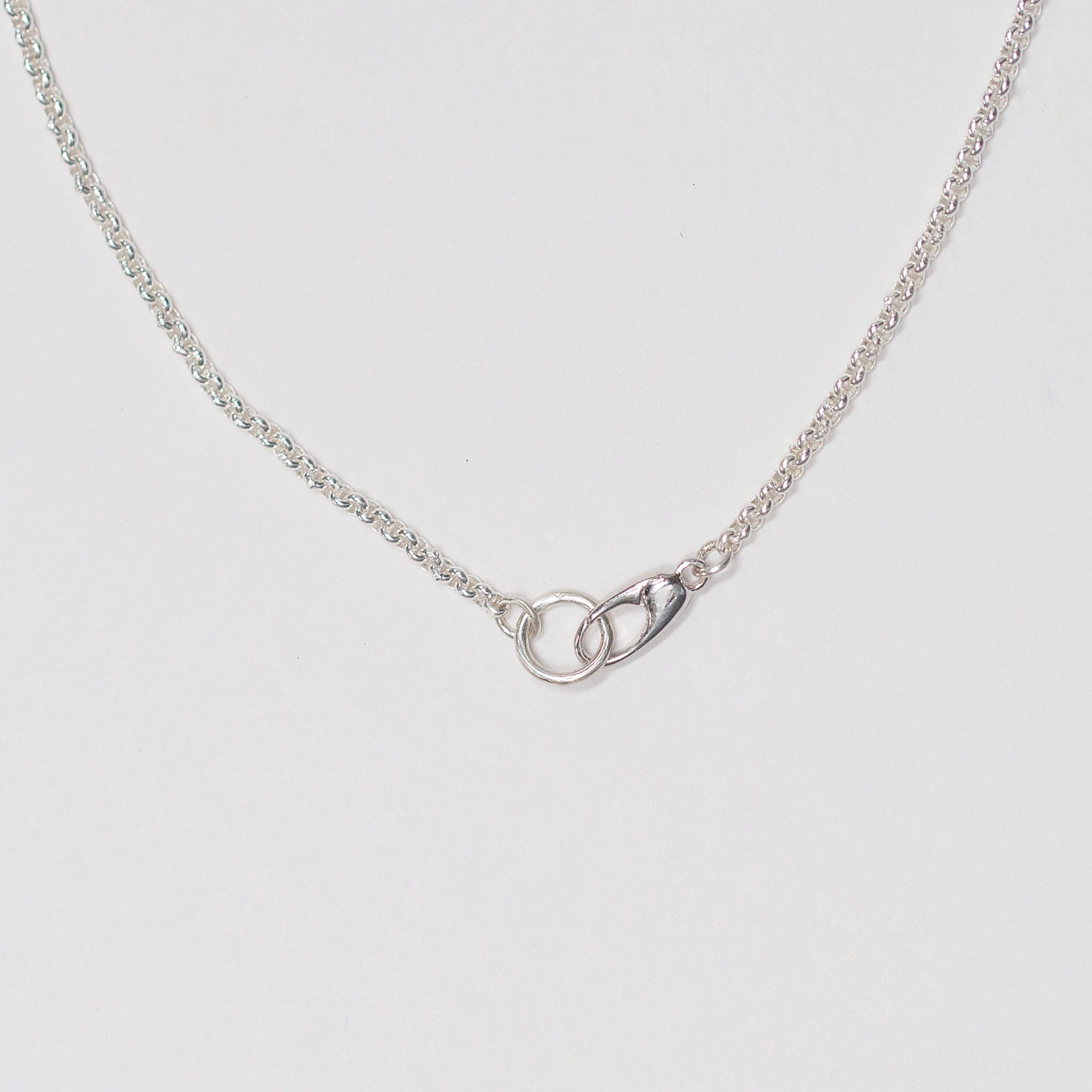 Rolo Charm Clip Chain