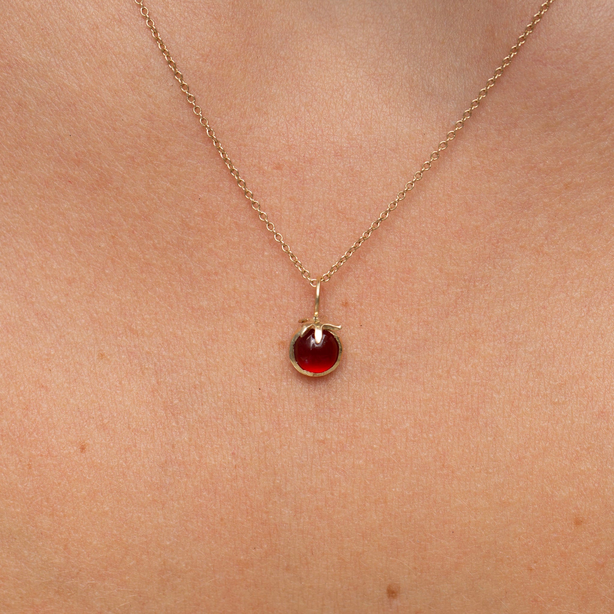 Tomato 13, Cherry Garnet