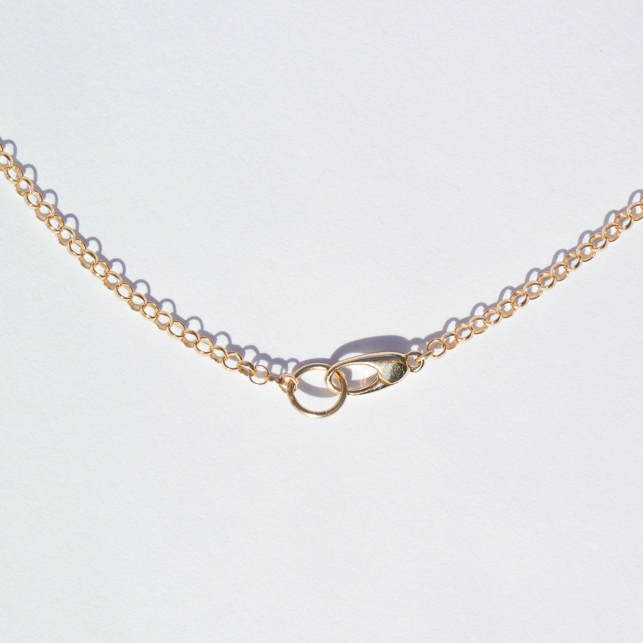 Rolo Charm Clip Chain