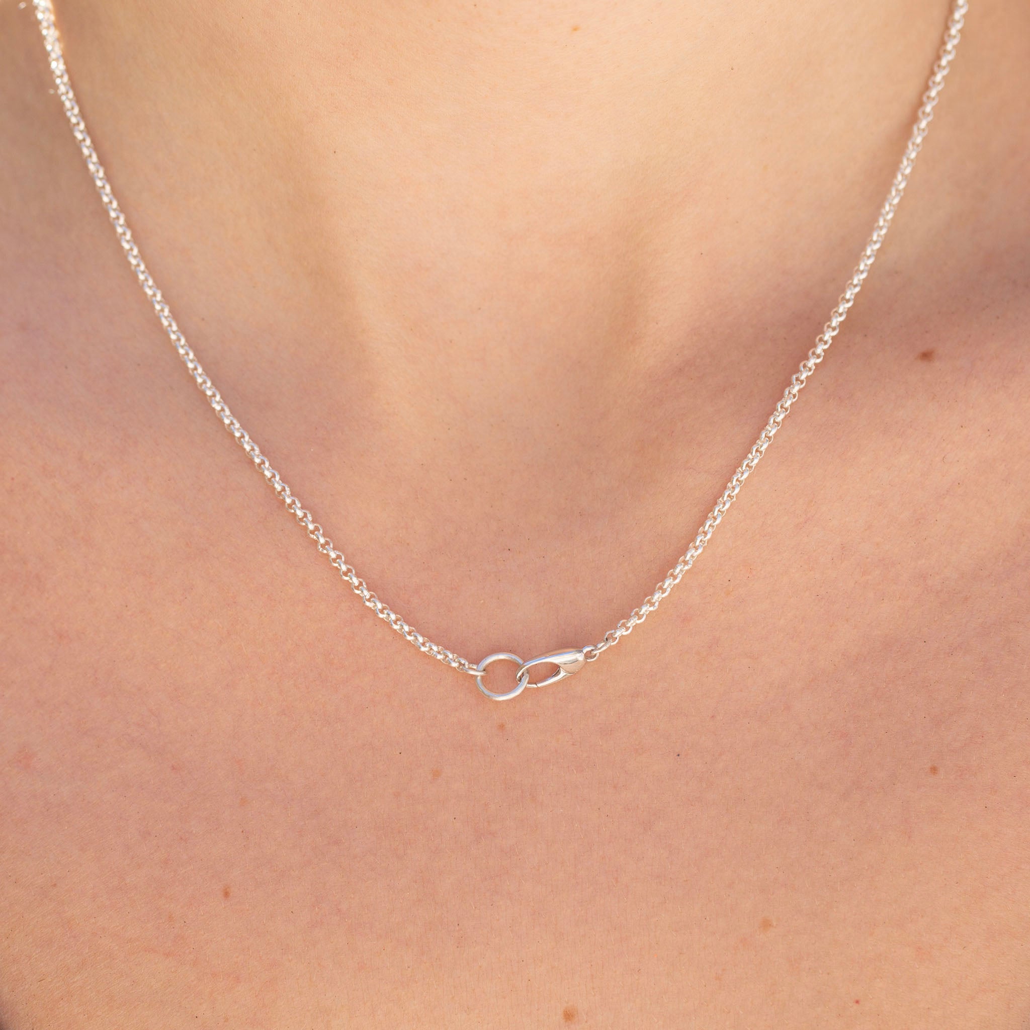 Rolo Charm Clip Chain